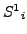 $ {S^1}_i$